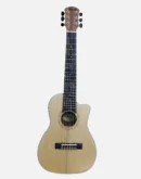 Tayste Acoustic Guitar
