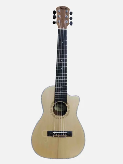 Tayste Acoustic Guitar