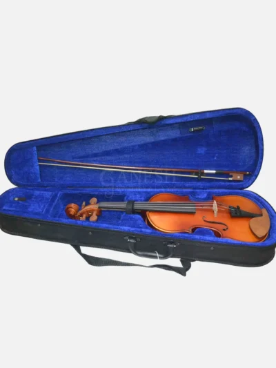 Blue velvet cushion violin