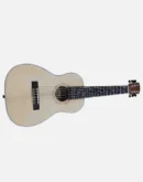 Tayste Acoustic Guitar round neck
