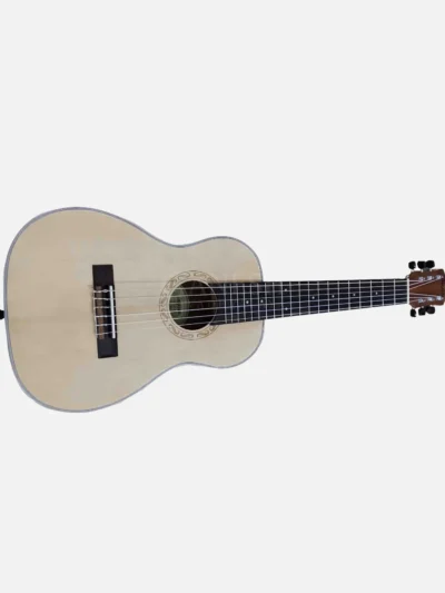 Tayste Acoustic Guitar round neck